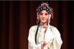 牡丹亭游园惊梦下载