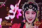 桃花扇 选段