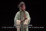 牡丹亭寻梦下载