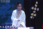 牡丹亭 拾画叫画