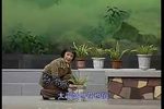 兰花女 全集