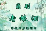 老娘泪 全集