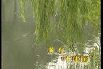 三状元上