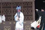 狸猫换太子 下集