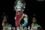 双阳与狄青 全集下载