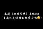 血路芳华下载