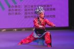 武文华 选段下载