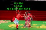 杨七娘 全集