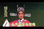 乌纱恨 全集
