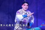 三请梨花第八场下载