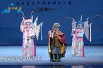 杨门女将 夜巡 选段