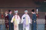 狸猫换太子 上集