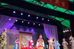 阳河摘印下载