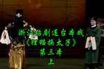 狸猫换太子第三本