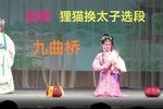 狸猫换太子 选段