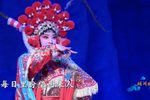 三请梨花第五场