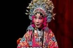 钱慧韵从艺七十周年专场演唱会B下载