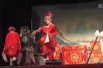 蝴蝶杯 3下载