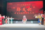 双蝴蝶相府招亲 全集