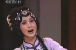 仇大姑娘分家 选段