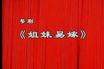 姐妹易嫁 全集