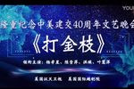 打金枝下载