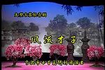 风流才子 全集