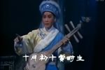 沙漠王子下载