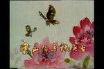 梁祝 全集