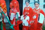 桃李梅 全集下载
