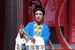 王华买父 全集