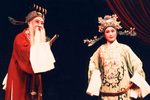 孟丽君下载