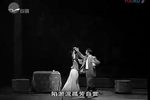 蔡锷与小凤仙下载