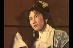 相思树