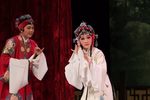 赖婚记下载