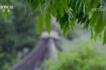 越是故乡鸣纪念越剧诞辰115周年特辑