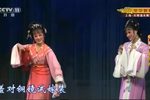 桃李梅 全集下载