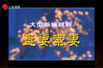 盘妻索妻 全集