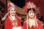 红丝错下载