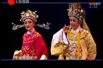 孟丽君下载