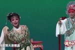 梁祝 选段