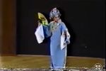 1989年范瑞娟赴美讲演回十八实录