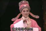 血缘恩仇下载