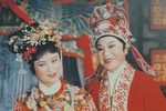 西园记 全集下载