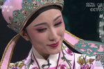孟丽君 书房会 选段下载