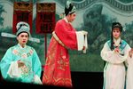 花中君子下载