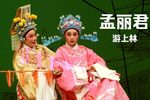孟丽君 游上林下载
