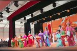 五女拜寿 全集