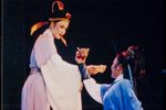 江南女巡按下载