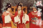双玉蝉 全集下载